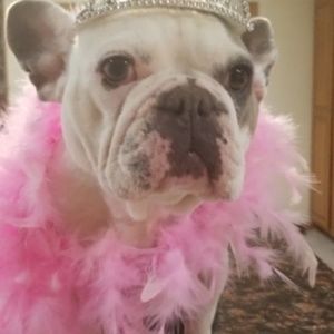 Meet your Posher, Dana